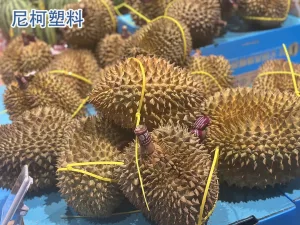 榴莲专用扎带-1